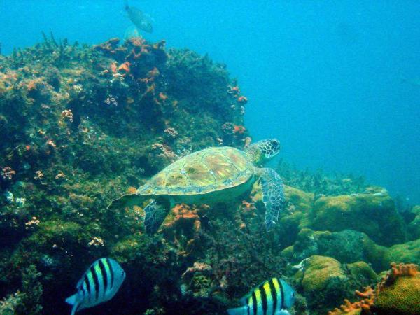 Pousada Tropical Aracatiba Praia de Araçatiba 外观 照片